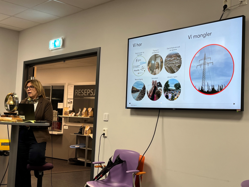 Hamarregionen Utvikling